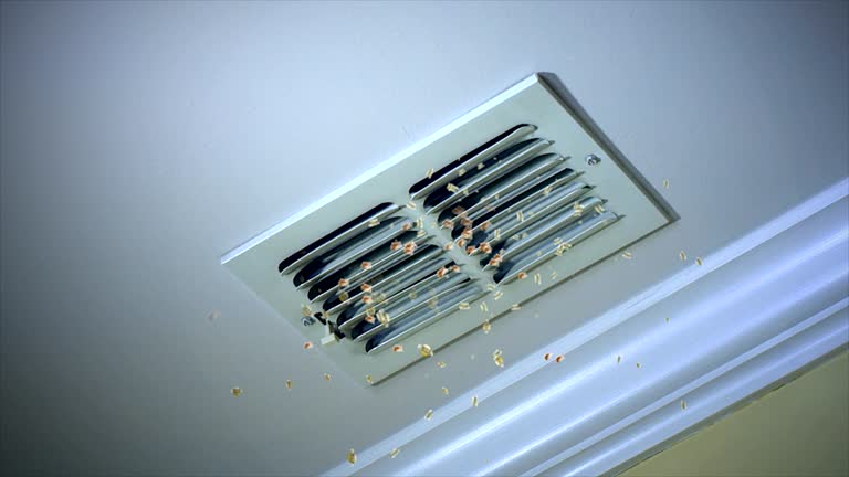 Best Best Air Duct Cleaning Company  in Speedway, IN