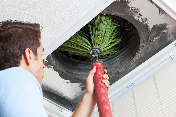 Air Duct Mold Removal in IN